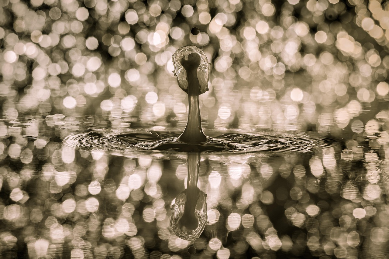 Drops, water, waterdrop — Baji999 vs Other Online Casinos: Which One Should You Choose?
